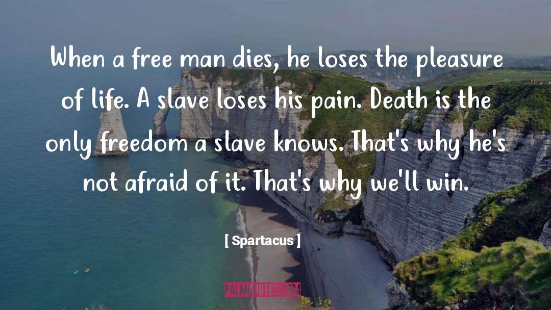 Free Man quotes by Spartacus