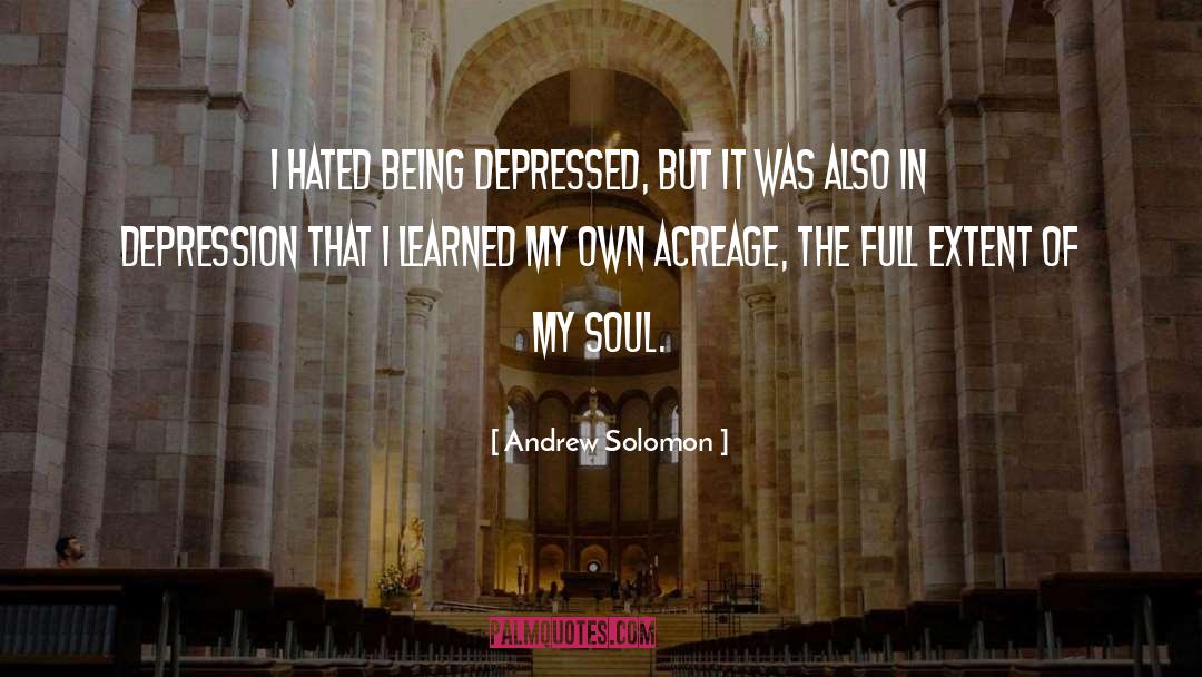 Free My Soul quotes by Andrew Solomon