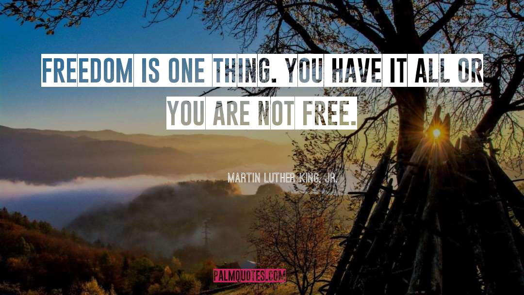 Free Solo quotes by Martin Luther King, Jr.