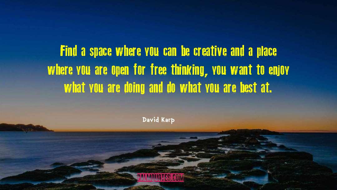 Free Thinking quotes by David Karp