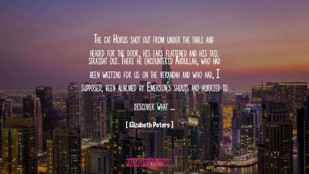 Freed By Dreams quotes by Elizabeth Peters