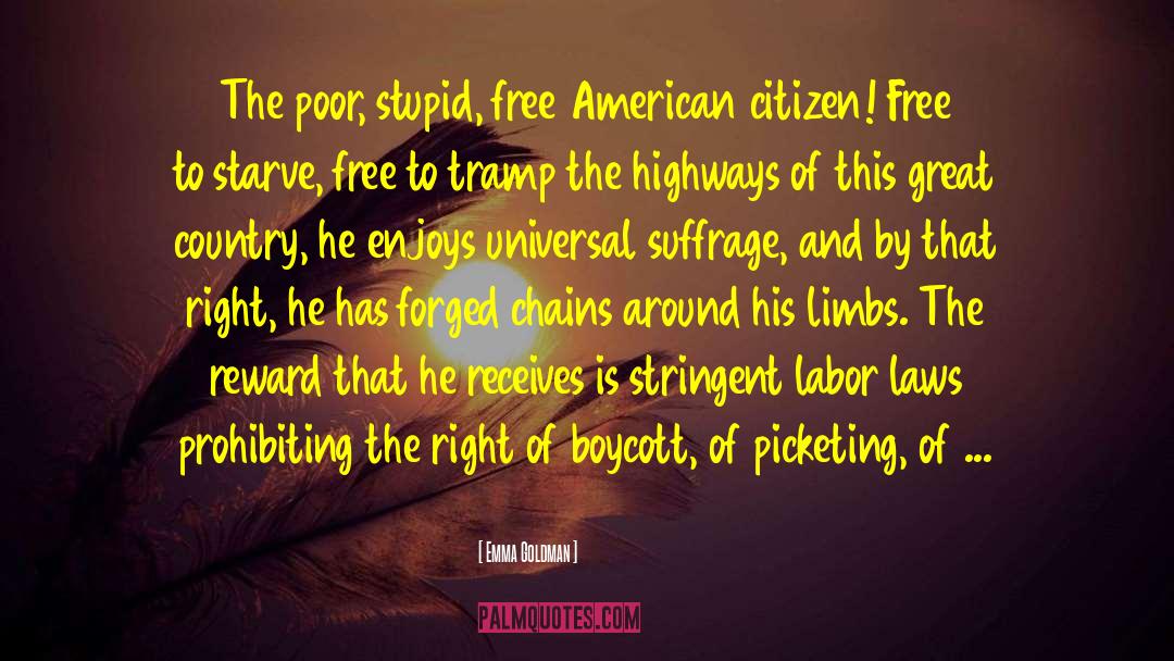 Freedom And The American Dream quotes by Emma Goldman