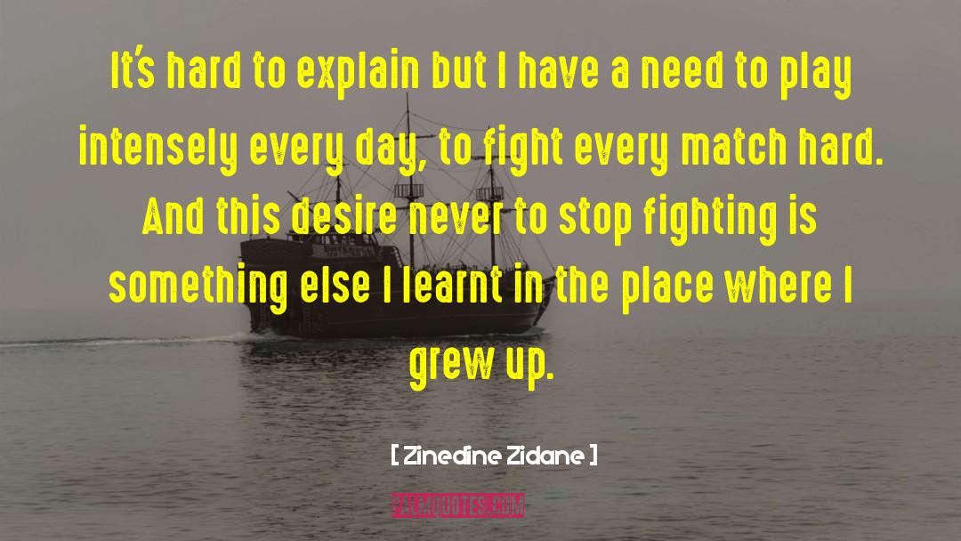 Freedom Fight quotes by Zinedine Zidane