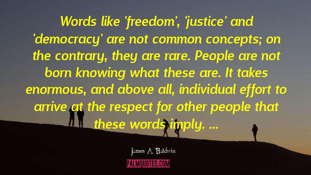 Freedom Fighters quotes by James A. Baldwin