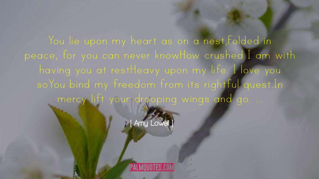 Freedom From Greed quotes by Amy Lowell