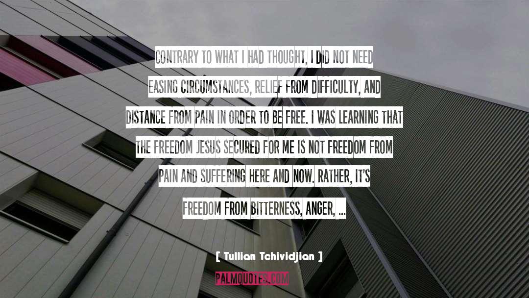 Freedom From Pain quotes by Tullian Tchividjian