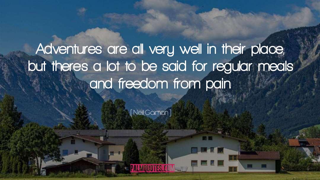 Freedom From Pain quotes by Neil Gaiman