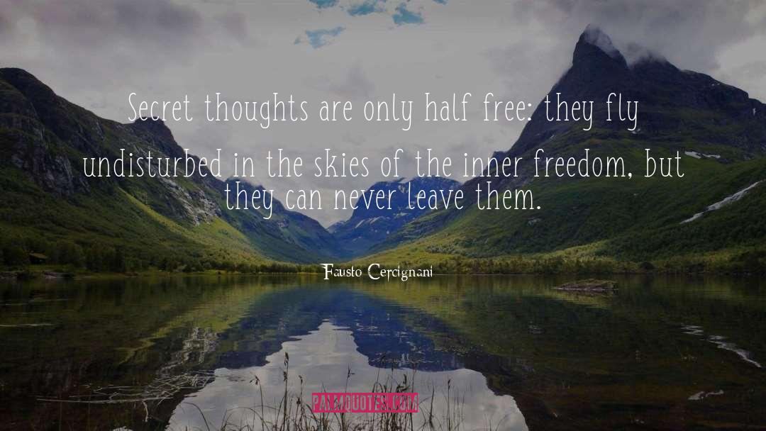 Freedom In The Usa quotes by Fausto Cercignani