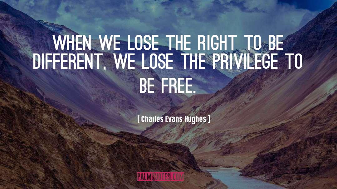 Freedom Lose Everything quotes by Charles Evans Hughes