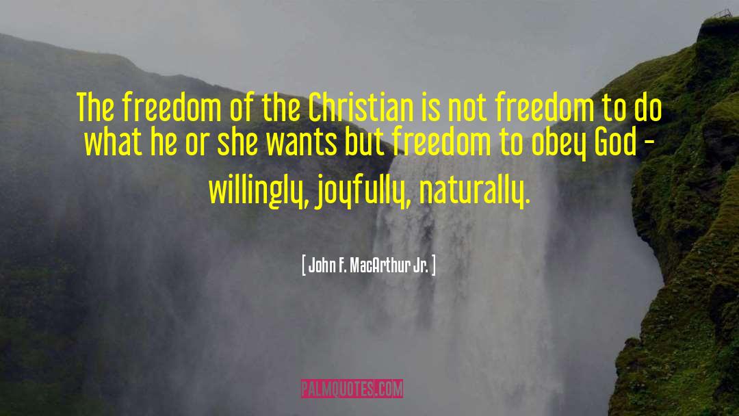 Freedom Movement quotes by John F. MacArthur Jr.