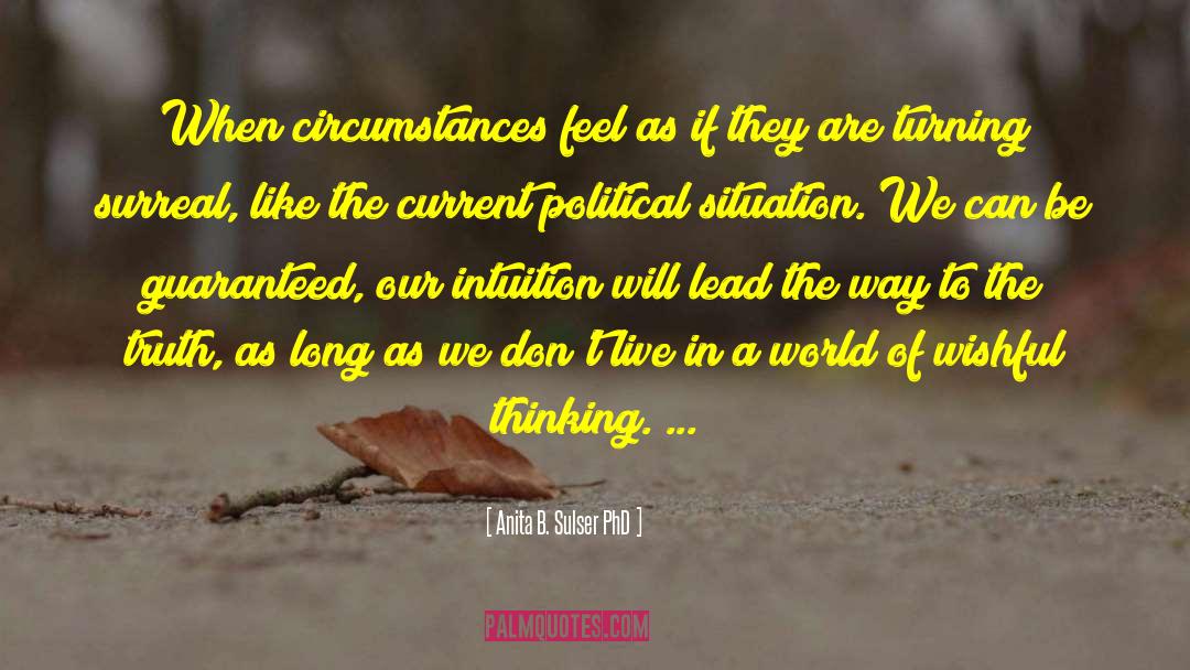 Freedom Of Conscience quotes by Anita B. Sulser PhD