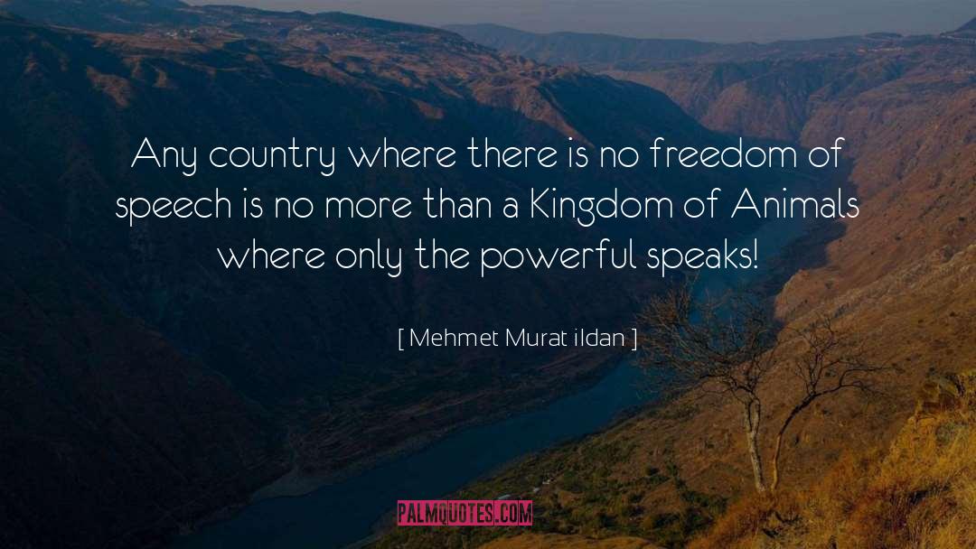 Freedom Of Expression quotes by Mehmet Murat Ildan