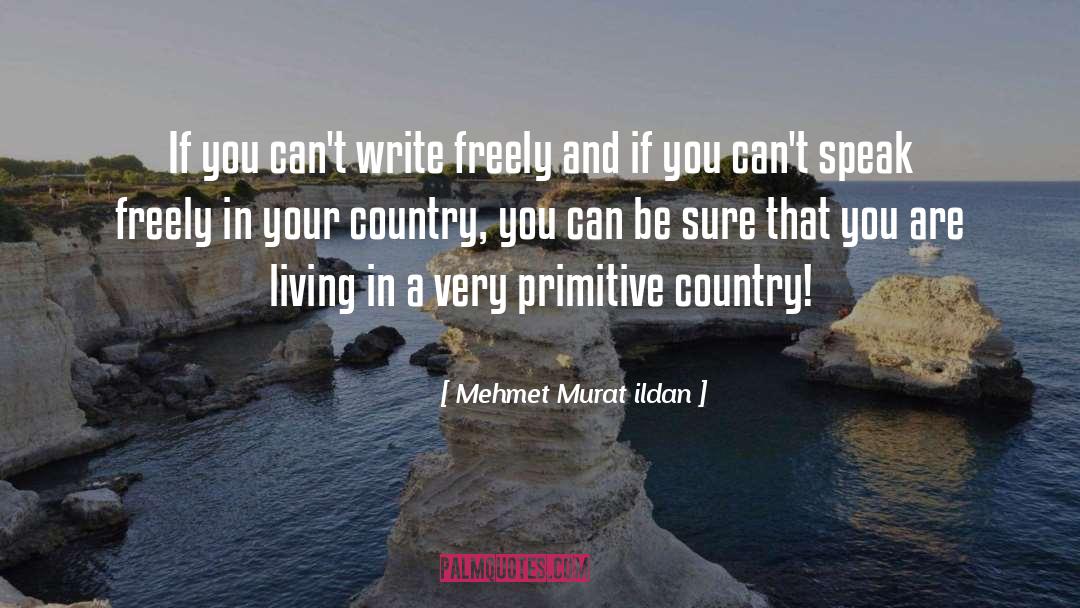 Freedom Of Speech Dissent quotes by Mehmet Murat Ildan
