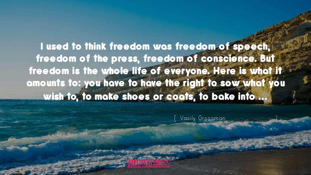 Freedom Of The Press quotes by Vasily Grossman