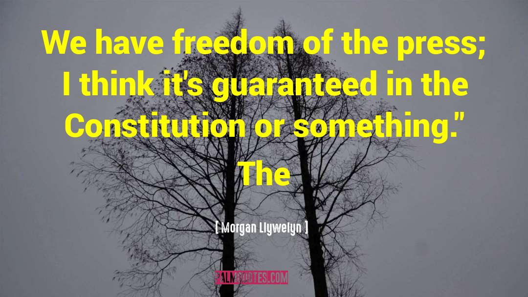 Freedom Of The Press quotes by Morgan Llywelyn