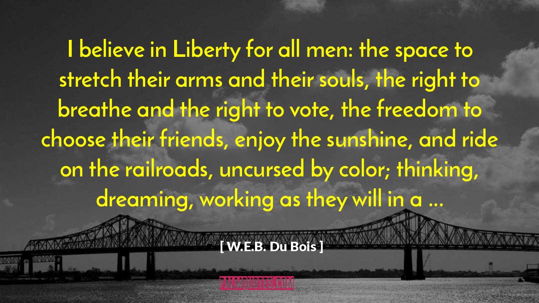 Freedom To Choose quotes by W.E.B. Du Bois