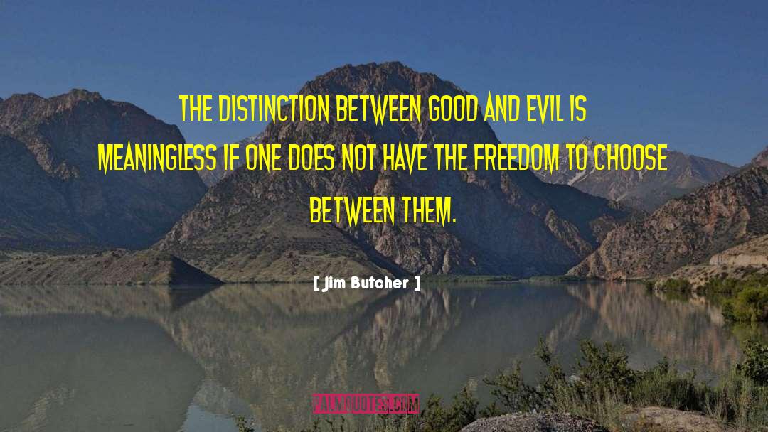Freedom To Choose quotes by Jim Butcher