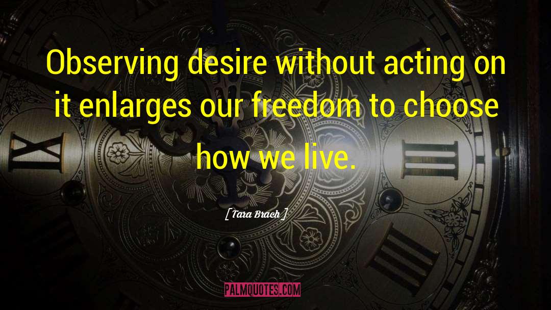 Freedom To Choose quotes by Tara Brach