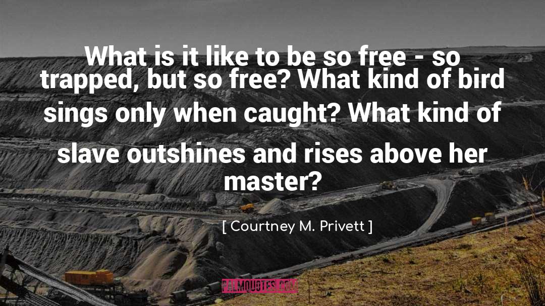 Freedom Trapped Lonely Reckless quotes by Courtney M. Privett