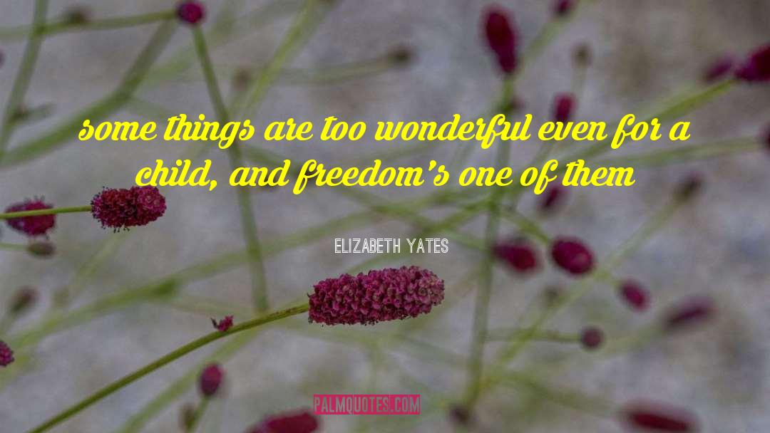 Freedoms quotes by Elizabeth Yates