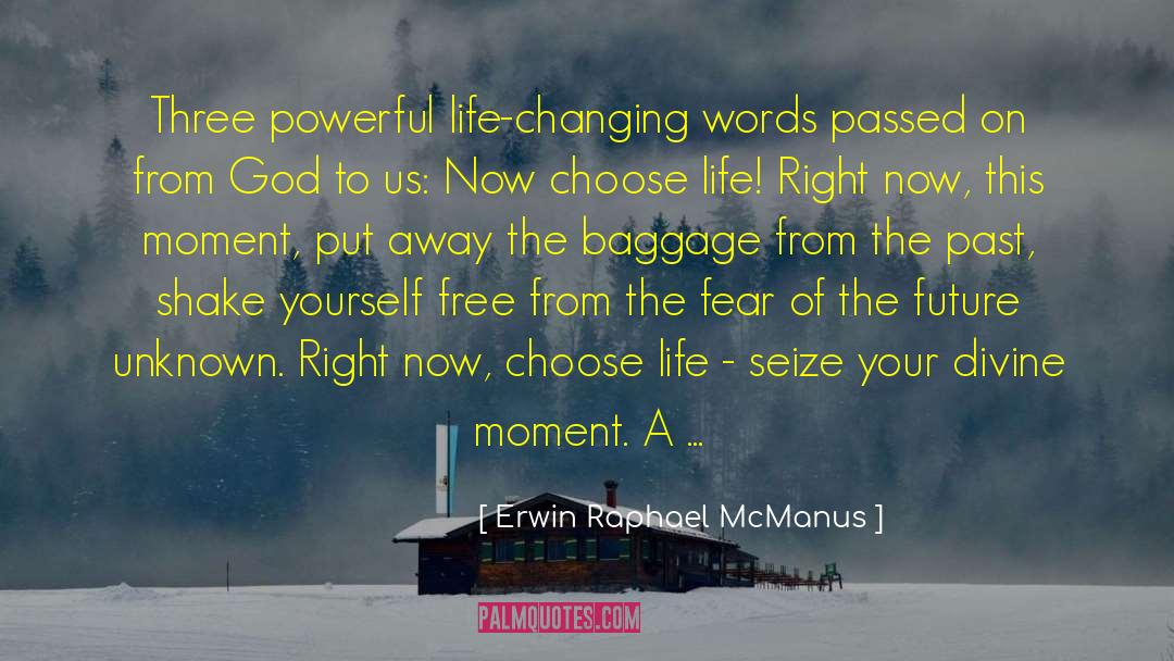 Freeing Yourself From The Past quotes by Erwin Raphael McManus