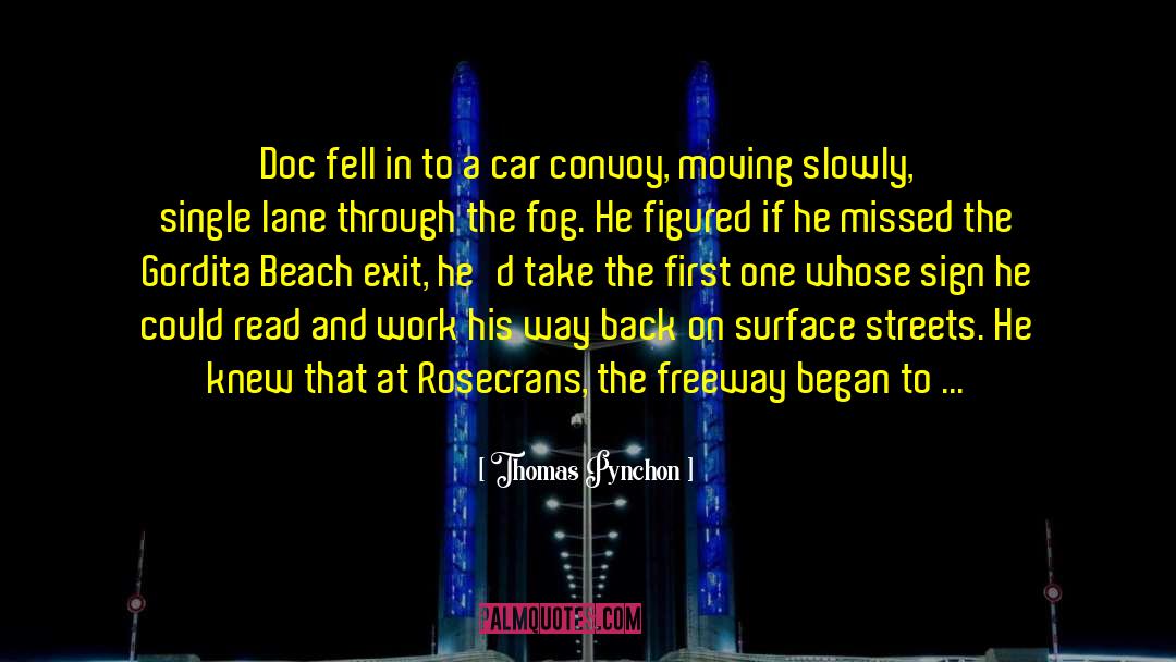 Freeway quotes by Thomas Pynchon