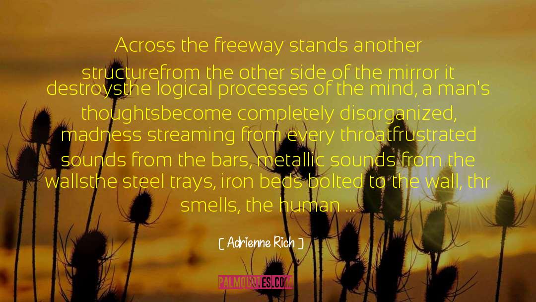 Freeway quotes by Adrienne Rich