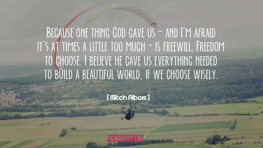 Freewill quotes by Mitch Albom