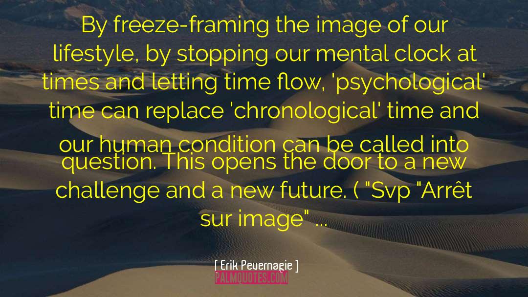 Freeze Frame quotes by Erik Pevernagie