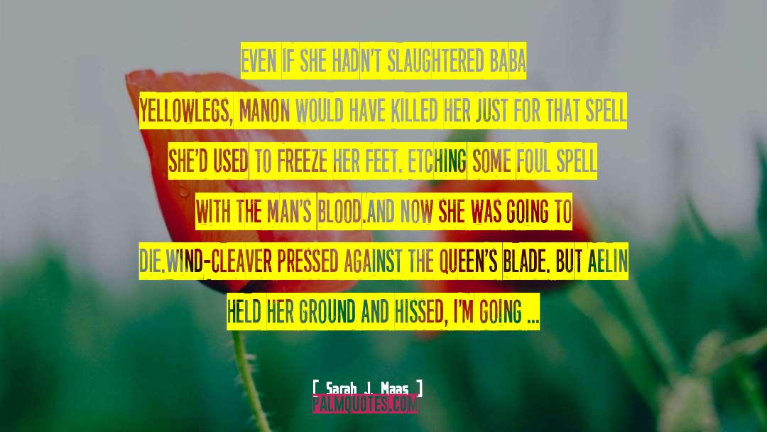 Freeze quotes by Sarah J. Maas