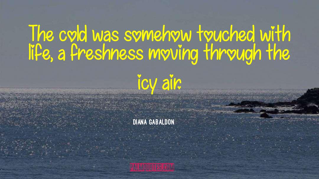 Freezing Cold quotes by Diana Gabaldon