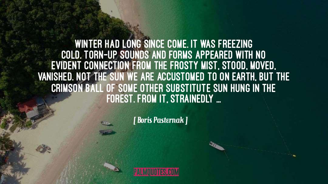 Freezing Cold quotes by Boris Pasternak