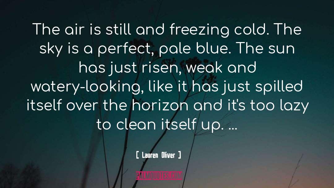 Freezing Cold quotes by Lauren Oliver