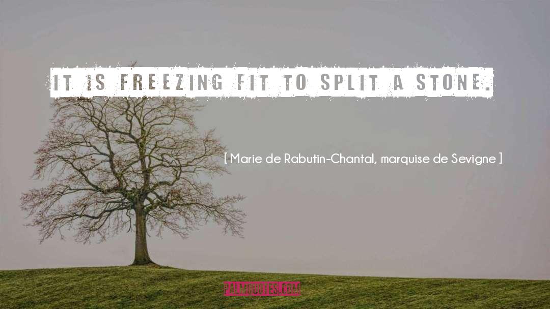 Freezing quotes by Marie De Rabutin-Chantal, Marquise De Sevigne