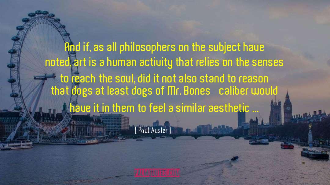 Freia Aesthetics quotes by Paul Auster