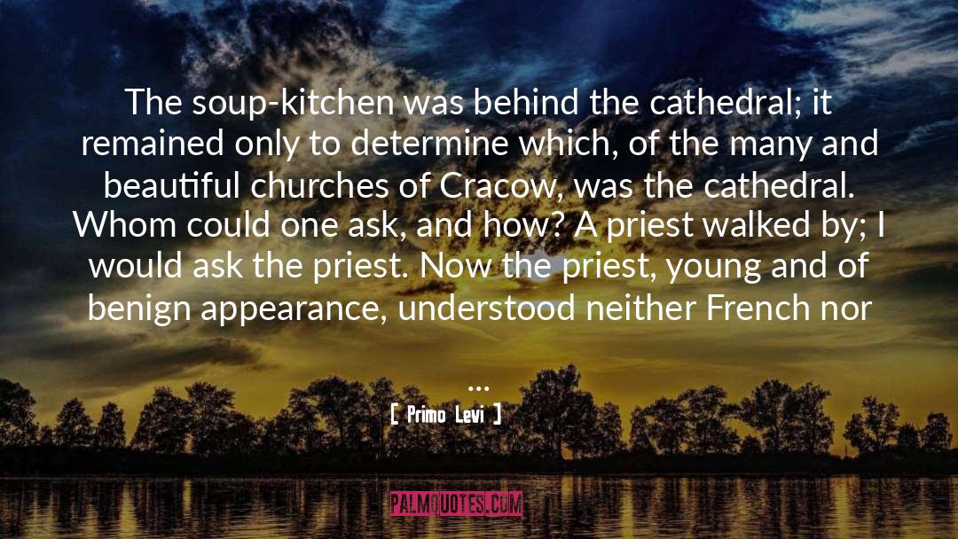 French Cooking quotes by Primo Levi