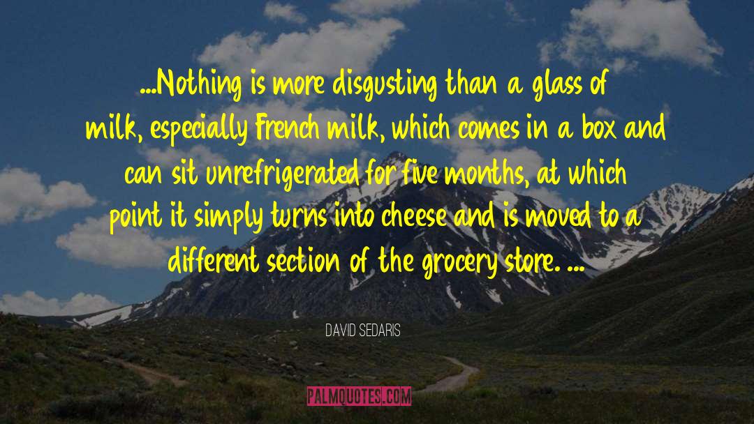 French Humor quotes by David Sedaris