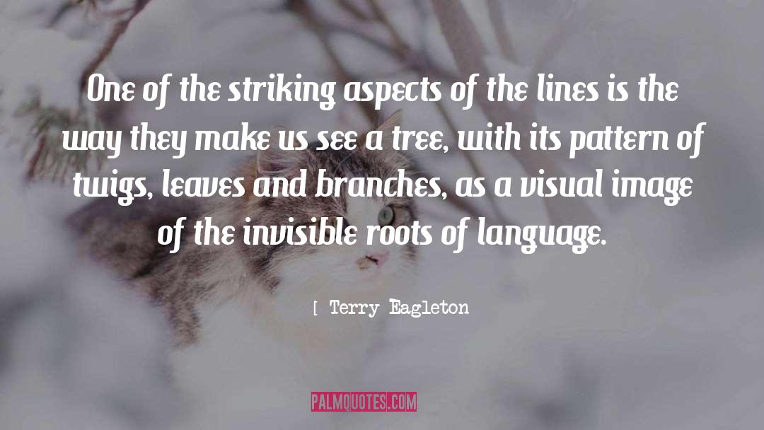 French Language quotes by Terry Eagleton