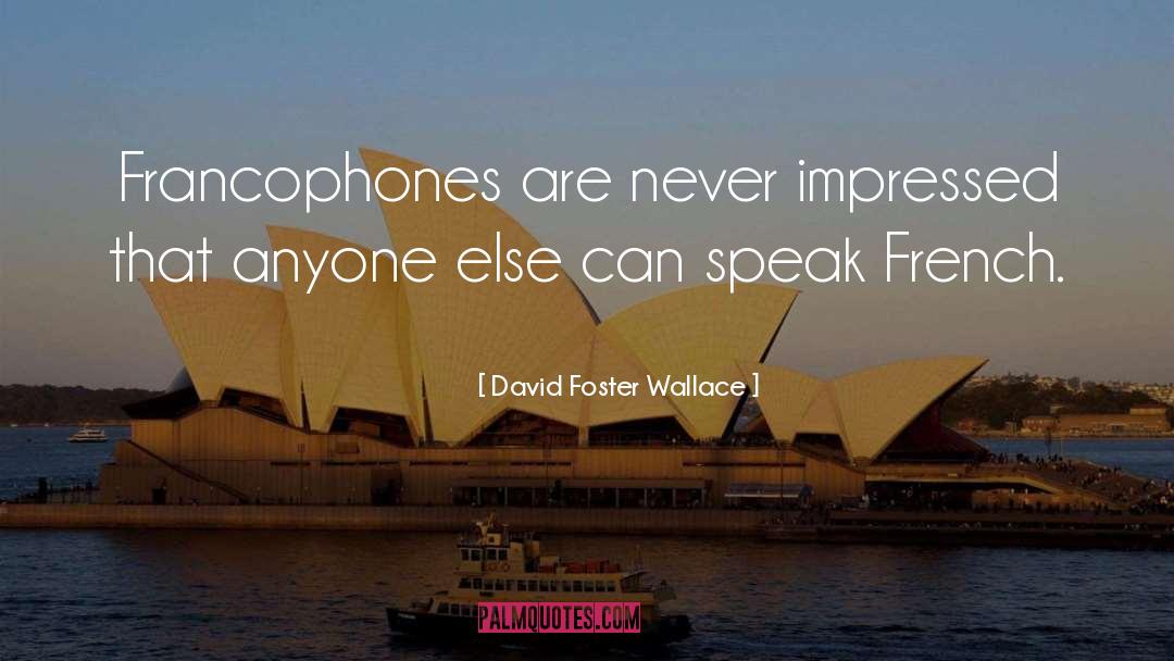 French quotes by David Foster Wallace