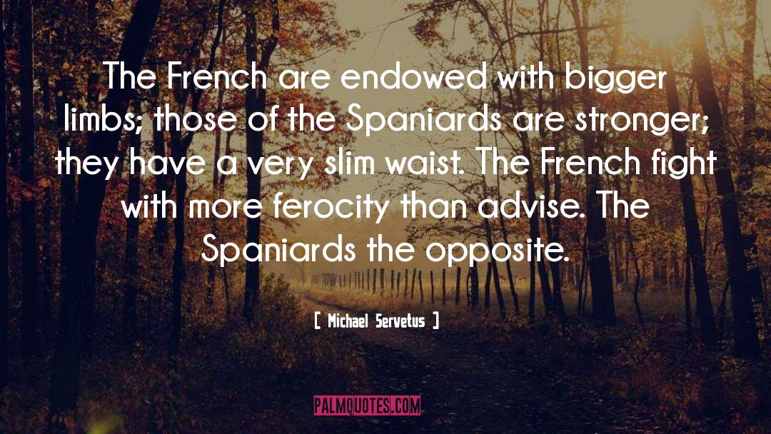 French Theologian quotes by Michael Servetus