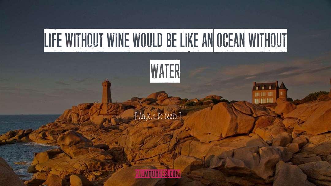 French Wine quotes by Angelo De Fazio