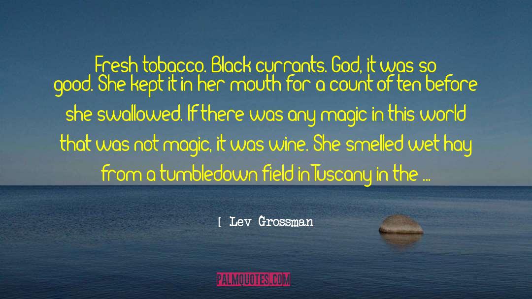 French Wine quotes by Lev Grossman