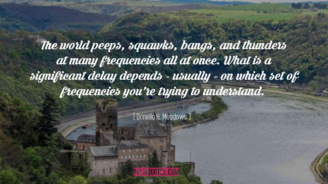 Frequencies quotes by Donella H. Meadows