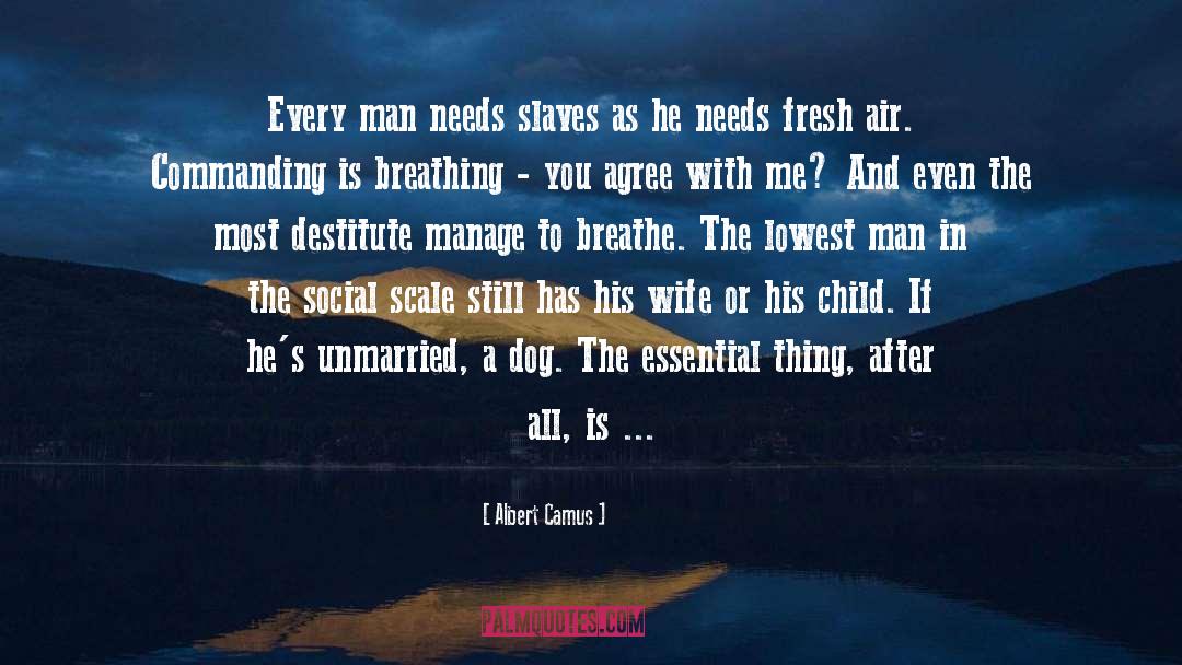 Fresh Air quotes by Albert Camus