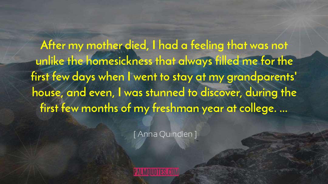 Freshman Year quotes by Anna Quindlen