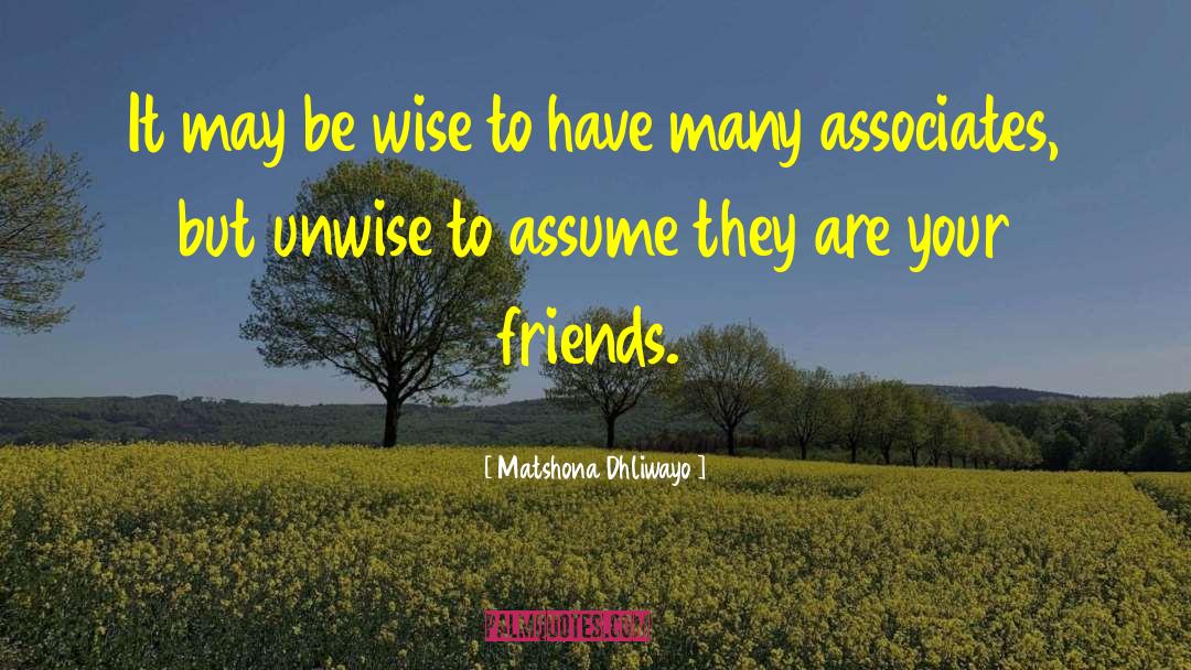 Fricke And Associates quotes by Matshona Dhliwayo