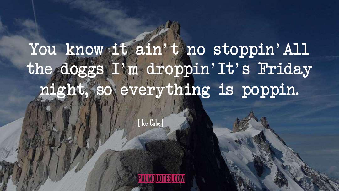 Friday Night quotes by Ice Cube