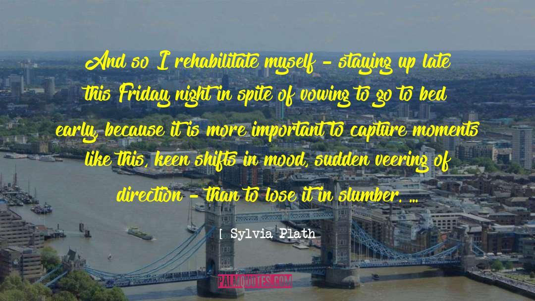 Friday Night quotes by Sylvia Plath