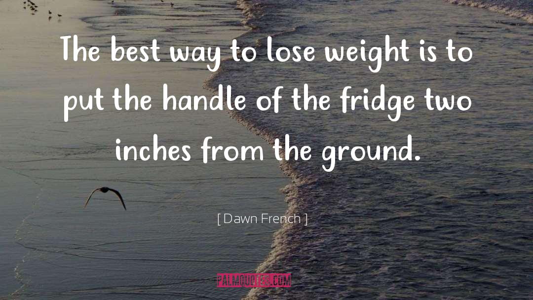 Fridges quotes by Dawn French
