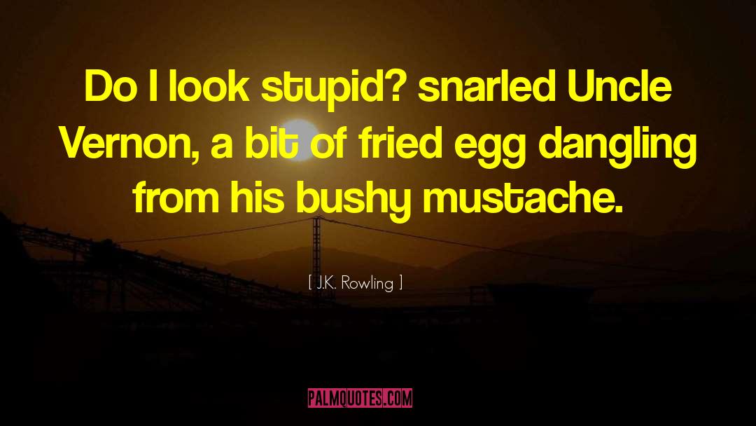 Fried Egg quotes by J.K. Rowling